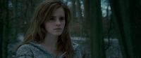 Potterish-RdMTrailerParte1-186.jpg