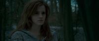 Potterish-RdMTrailerParte1-188.jpg