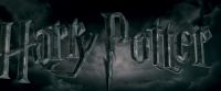 Potterish-RdMTrailerParte1-1882.jpg