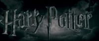 Potterish-RdMTrailerParte1-1884.jpg