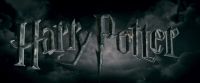 Potterish-RdMTrailerParte1-1888.jpg