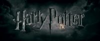 Potterish-RdMTrailerParte1-1897.jpg