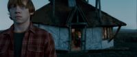Potterish-RdMTrailerParte1-196.jpg