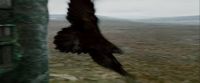 Potterish-RdMTrailerParte1-399.jpg