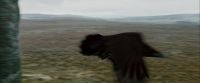 Potterish-RdMTrailerParte1-401.jpg