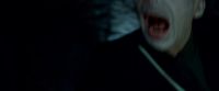 Potterish-RdMTrailerParte1-435.jpg