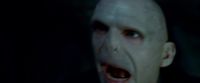 Potterish-RdMTrailerParte1-437.jpg