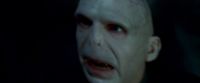 Potterish-RdMTrailerParte1-438.jpg