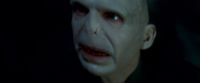 Potterish-RdMTrailerParte1-439.jpg