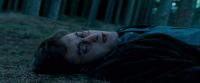 Potterish-RdMTrailerParte1-444.jpg