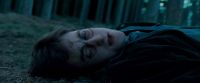 Potterish-RdMTrailerParte1-445.jpg