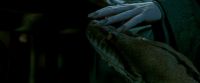 Potterish-RdMTrailerParte1-680.jpg
