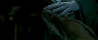 Potterish-RdMTrailerParte1-681.jpg