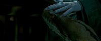 Potterish-RdMTrailerParte1-682.jpg