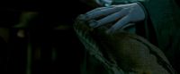 Potterish-RdMTrailerParte1-683.jpg