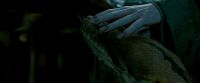 Potterish-RdMTrailerParte1-684.jpg