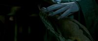 Potterish-RdMTrailerParte1-685.jpg