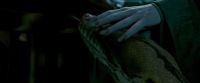Potterish-RdMTrailerParte1-686.jpg