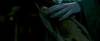Potterish-RdMTrailerParte1-687.jpg