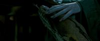 Potterish-RdMTrailerParte1-688.jpg