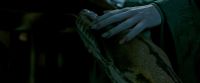 Potterish-RdMTrailerParte1-689.jpg