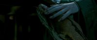 Potterish-RdMTrailerParte1-690.jpg