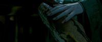 Potterish-RdMTrailerParte1-691.jpg