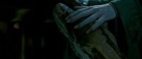 Potterish-RdMTrailerParte1-692.jpg
