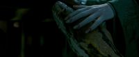 Potterish-RdMTrailerParte1-693.jpg
