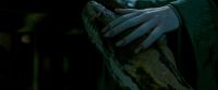 Potterish-RdMTrailerParte1-694.jpg