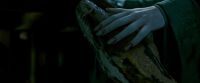 Potterish-RdMTrailerParte1-695.jpg