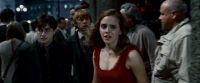 Potterish-RdMTrailerParte1-810.jpg