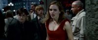 Potterish-RdMTrailerParte1-813.jpg