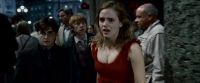 Potterish-RdMTrailerParte1-815.jpg
