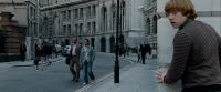Potterish-RdMTrailerParte1-835.jpg