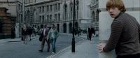 Potterish-RdMTrailerParte1-837.jpg