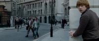 Potterish-RdMTrailerParte1-839.jpg