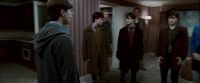 Potterish-RdMTrailerParte1-864.jpg