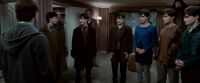 Potterish-RdMTrailerParte1-880.jpg