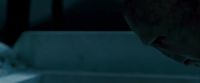 Potterish-RdMTrailerParte1-94.jpg