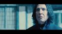 PotterishHP72ABCFamily1-104~2.jpg