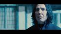 PotterishHP72ABCFamily1-105~2.jpg