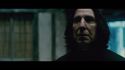 PotterishHP72ABCFamily1-107~2.jpg