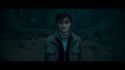 PotterishHP72ABCFamily1-11~2.jpg