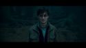 PotterishHP72ABCFamily1-12~2.jpg