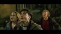 PotterishHP72ABCFamily1-131~2.jpg
