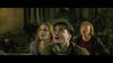 PotterishHP72ABCFamily1-133~2.jpg