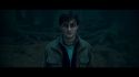 PotterishHP72ABCFamily1-13~2.jpg