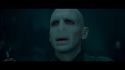 PotterishHP72ABCFamily1-14~2.jpg