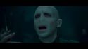 PotterishHP72ABCFamily1-16~2.jpg